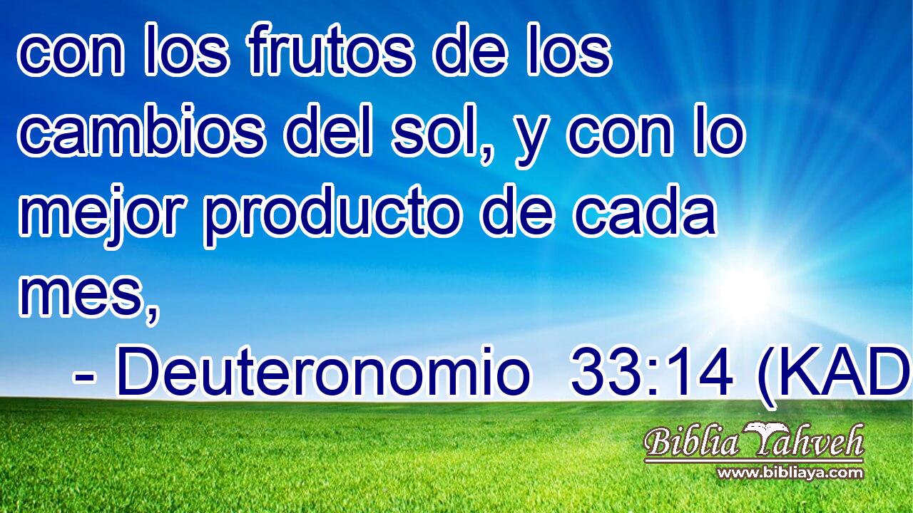  con los frutos de los cambios del sol, y con lo mejor producto de cada mes, 