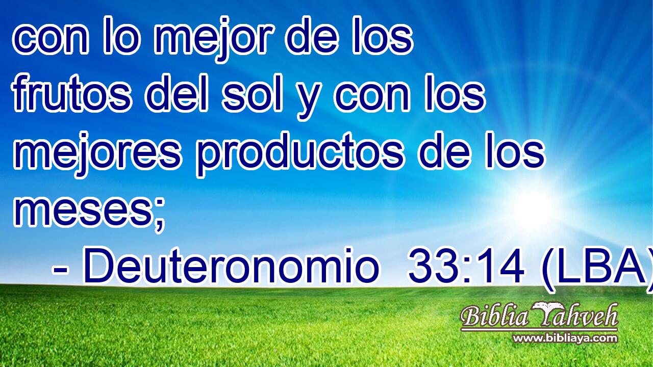 con lo mejor de los frutos del sol y con los mejores productos de los meses;