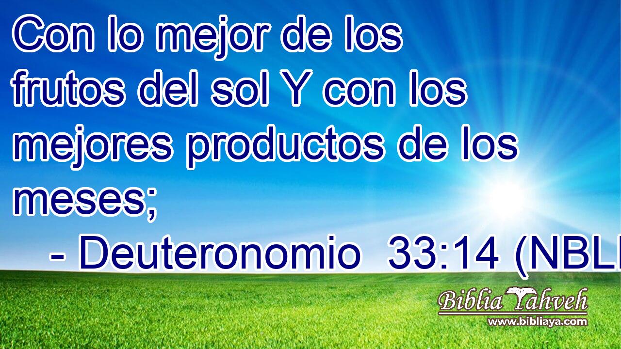  Con lo mejor de los frutos del sol Y con los mejores productos de los meses; 