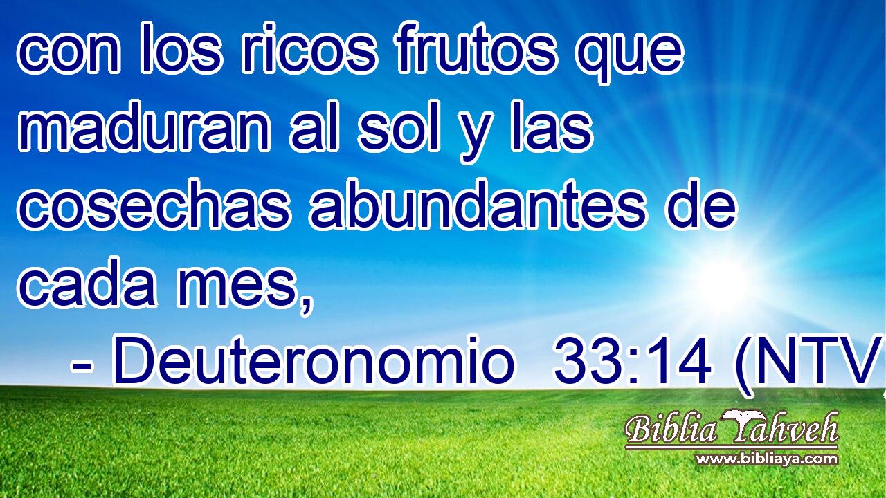 con los ricos frutos que maduran al sol y las cosechas abundantes de cada mes,