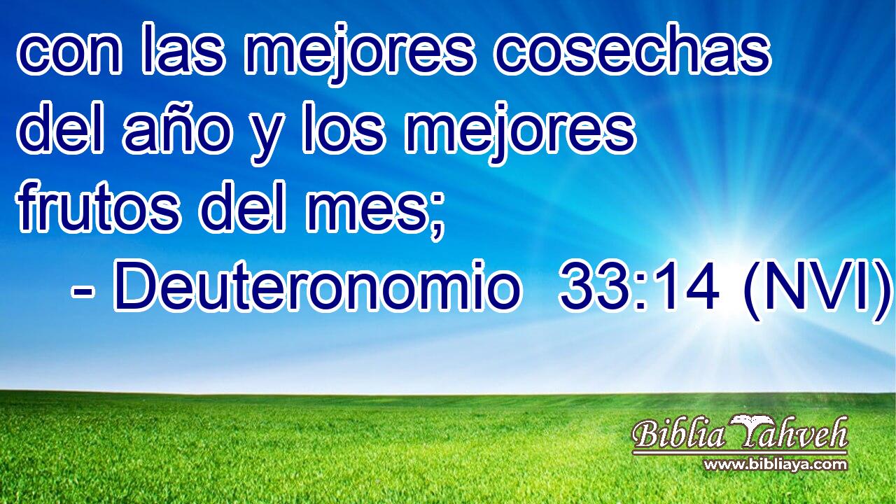  con las mejores cosechas del año y los mejores frutos del mes; 