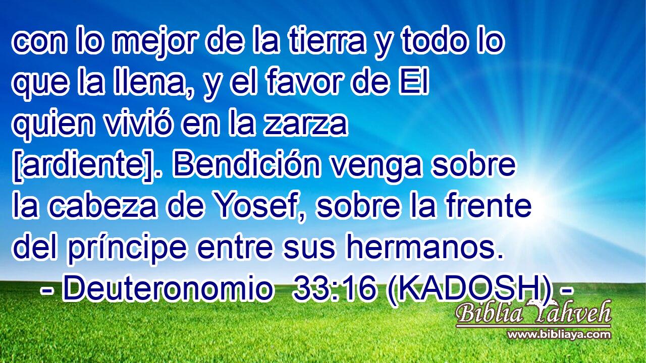  con lo mejor de la tierra y todo lo que la llena, y el favor de El quien vivió en la zarza [ardiente]. Bendición venga sobre la cabeza de Yosef, sobre la frente del príncipe entre sus hermanos. 