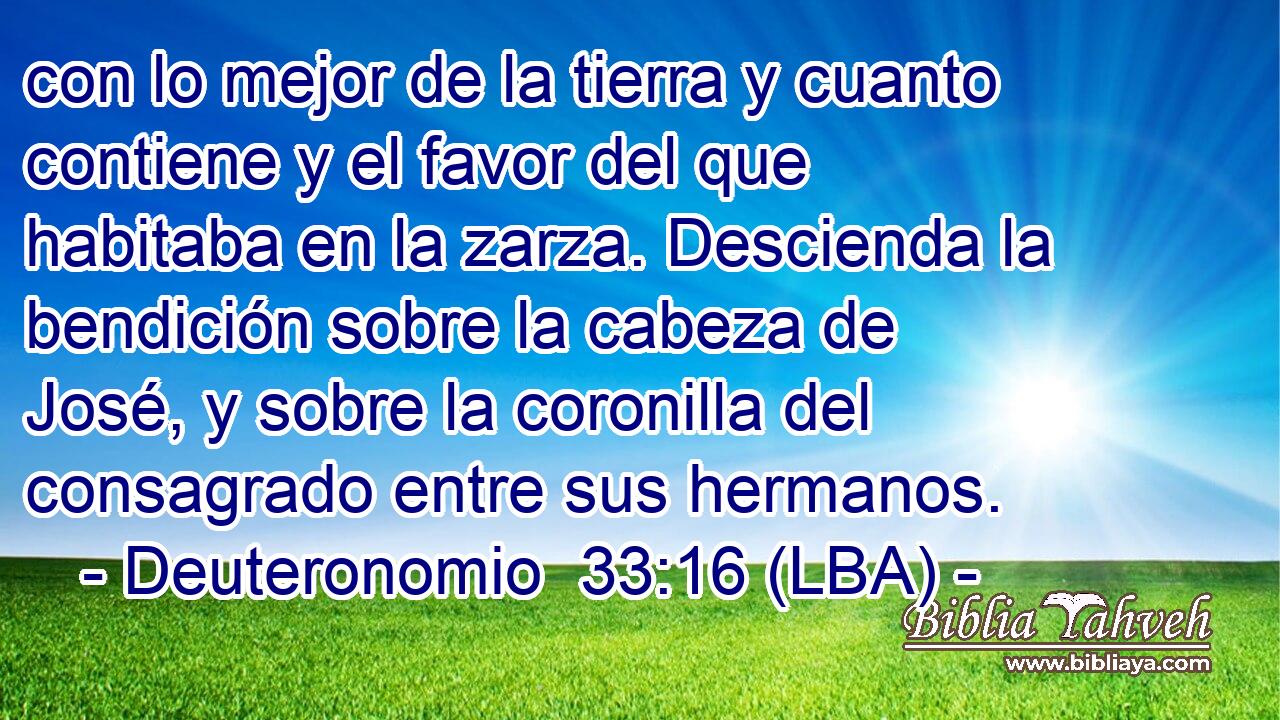 con lo mejor de la tierra y cuanto contiene y el favor del que habitaba en la zarza. Descienda la bendición sobre la cabeza de José, y sobre la coronilla del consagrado entre sus hermanos.