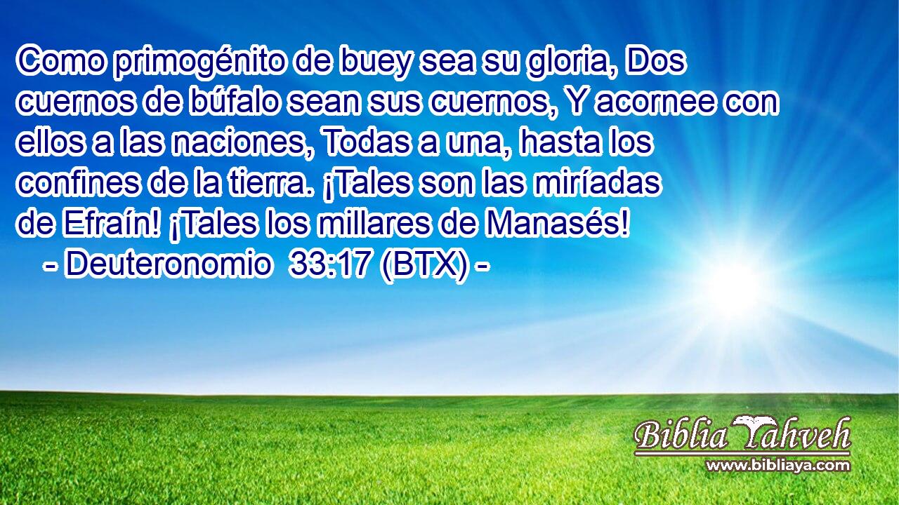 Como primogénito de buey sea su gloria, Dos cuernos de búfalo sean sus cuernos, Y acornee con ellos a las naciones, Todas a una, hasta los confines de la tierra. ¡Tales son las miríadas de Efraín! ¡Tales los millares de Manasés!