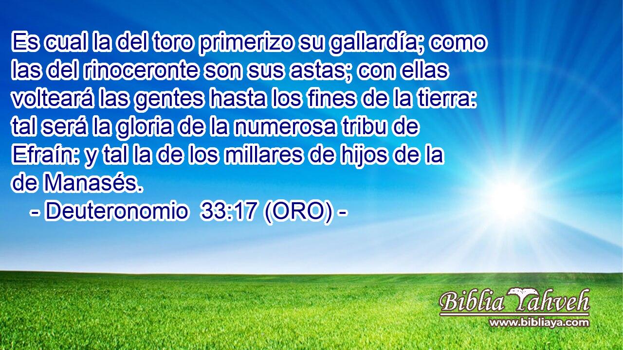  Es cual la del toro primerizo su gallardía; como las del rinoceronte son sus astas; con ellas volteará las gentes hasta los fines de la tierra: tal será la gloria de la numerosa tribu de Efraín: y tal la de los millares de hijos de la de Manasés. 