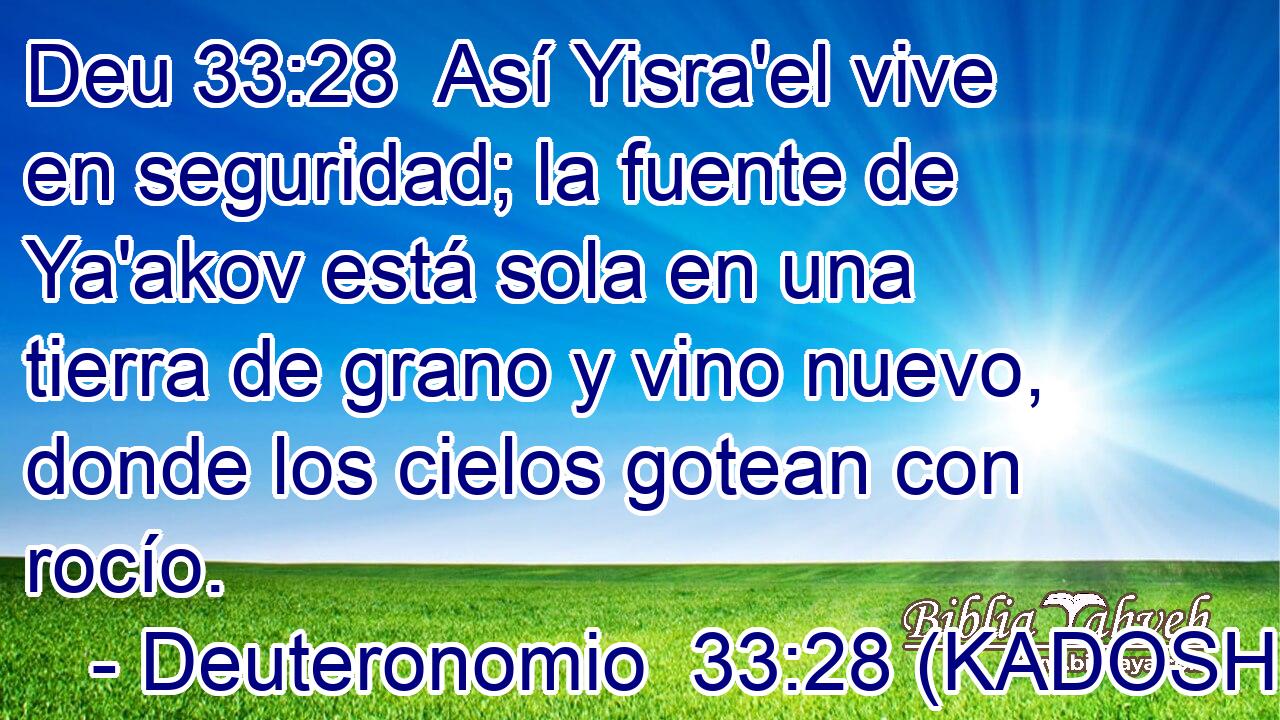  Así Yisra'el vive en seguridad; la fuente de Ya'akov está sola en una tierra de grano y vino nuevo, donde los cielos gotean con rocío. 