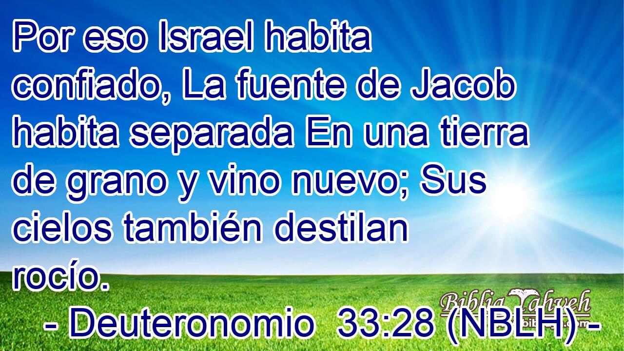  Por eso Israel habita confiado, La fuente de Jacob habita separada En una tierra de grano y vino nuevo; Sus cielos también destilan rocío. 