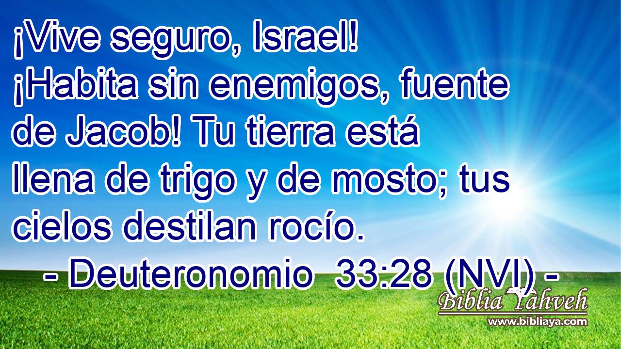  ¡Vive seguro, Israel! ¡Habita sin enemigos, fuente de Jacob! Tu tierra está llena de trigo y de mosto; tus cielos destilan rocío. 