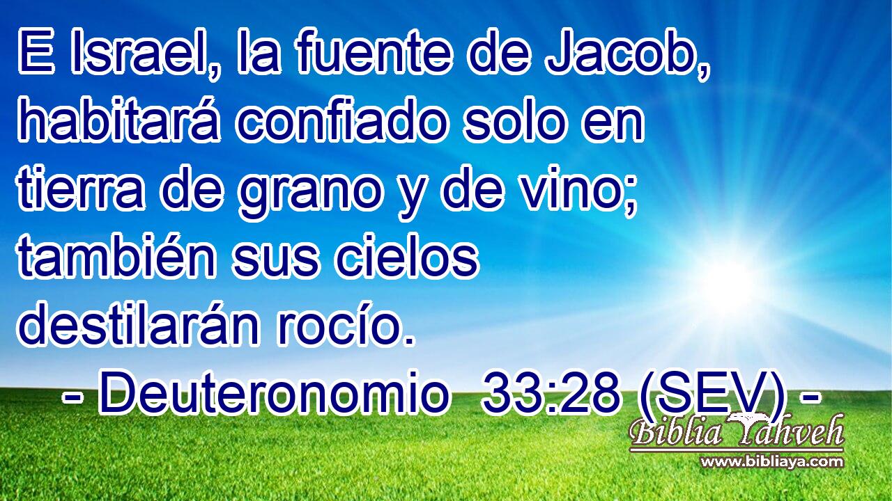E Israel, la fuente de Jacob, habitará confiado solo en tierra de grano y de vino; también sus cielos destilarán rocío.