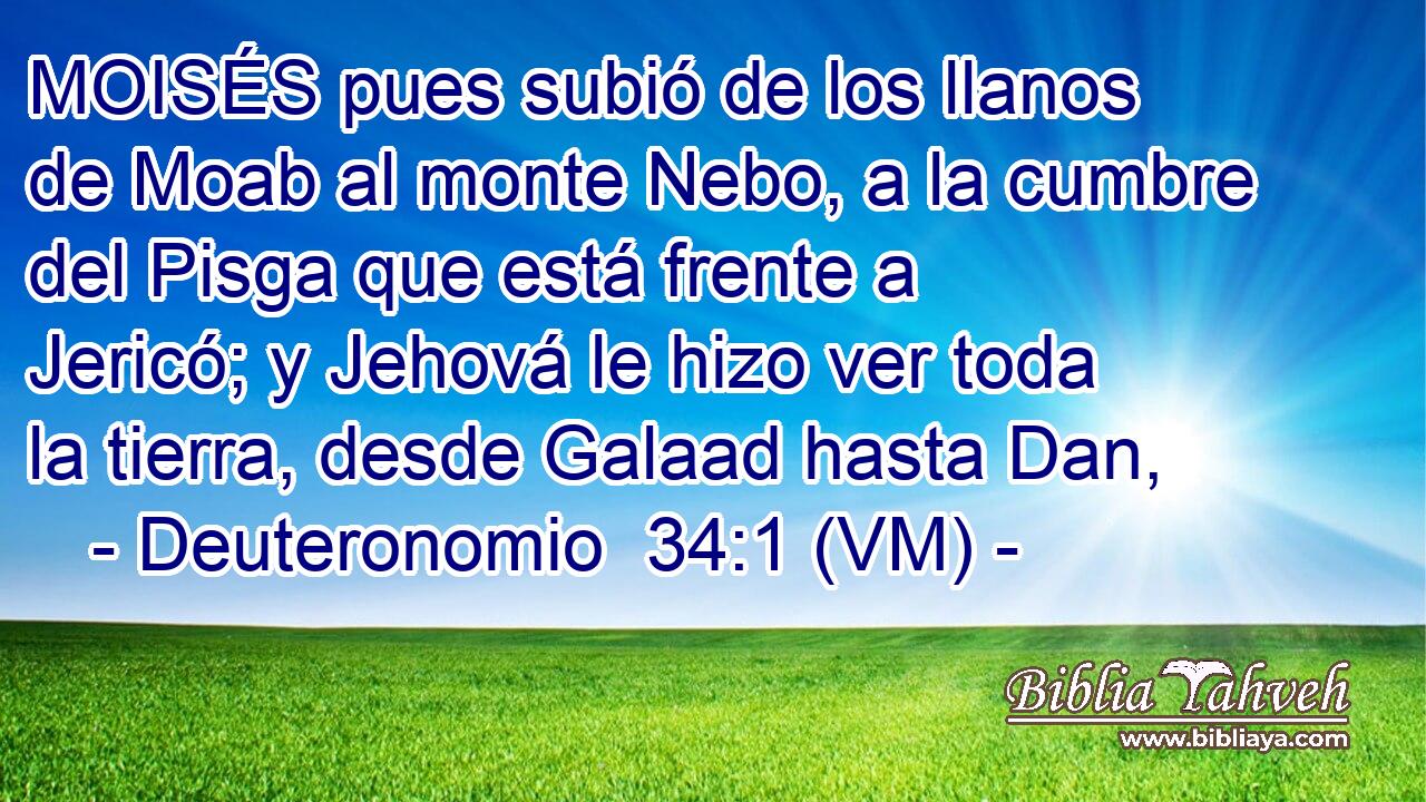  MOISÉS pues subió de los llanos de Moab al monte Nebo, a la cumbre del Pisga que está frente a Jericó; y Jehová le hizo ver toda la tierra, desde Galaad hasta Dan, 