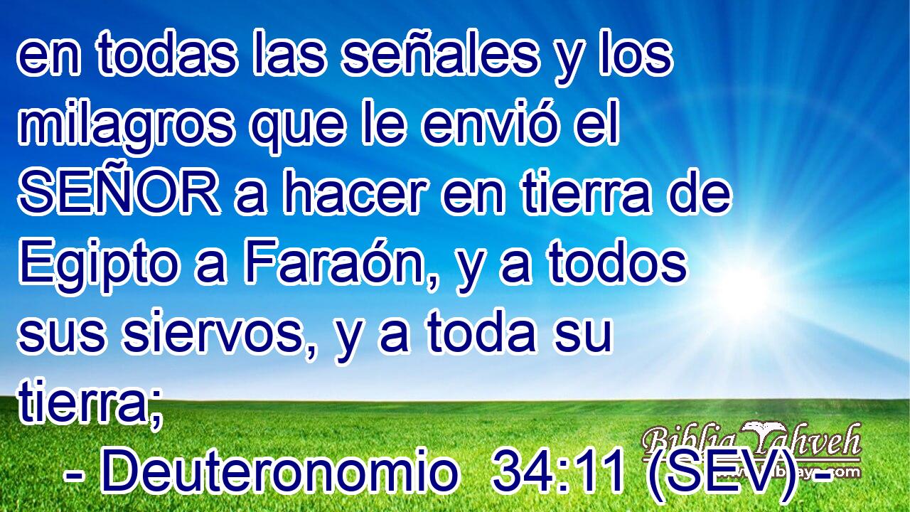 en todas las señales y los milagros que le envió el SEÑOR a hacer en tierra de Egipto a Faraón, y a todos sus siervos, y a toda su tierra;