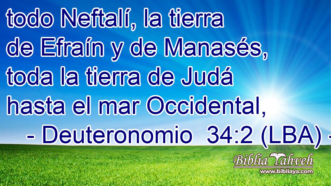 todo Neftalí, la tierra de Efraín y de Manasés, toda la tierra de Judá hasta el mar Occidental,