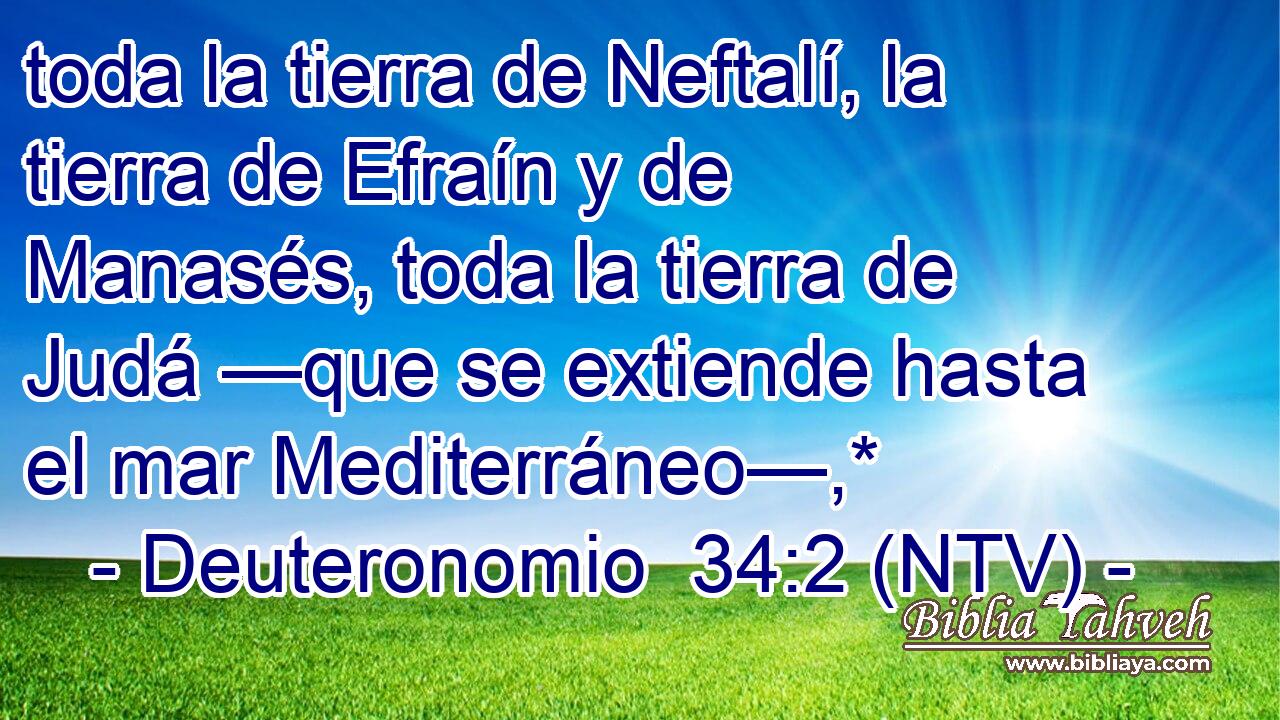 toda la tierra de Neftalí, la tierra de Efraín y de Manasés, toda la tierra de Judá —que se extiende hasta el mar Mediterráneo—,*