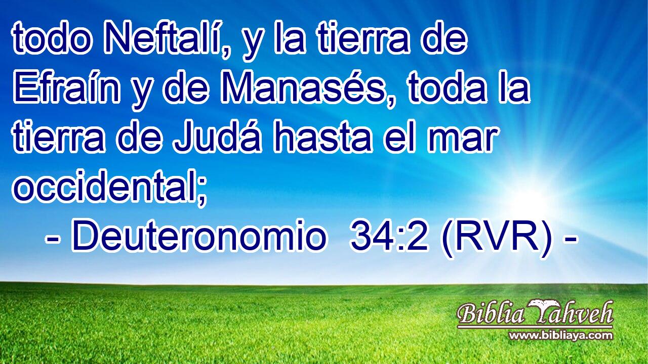 todo Neftalí, y la tierra de Efraín y de Manasés, toda la tierra de Judá hasta el mar occidental;