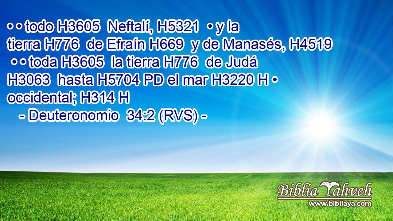 • • todo H3605  Neftalí, H5321  • y la tierra H776  de Efraín H669  y de Manasés, H4519  • • toda H3605  la tierra H776  de Judá H3063  hasta H5704 PD el mar H3220 H • occidental; H314 H 