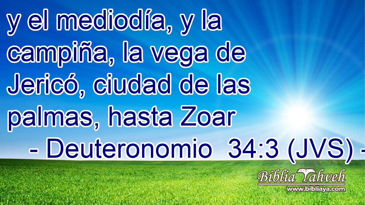 y el mediodía, y la campiña, la vega de Jericó, ciudad de las palmas, hasta Zoar