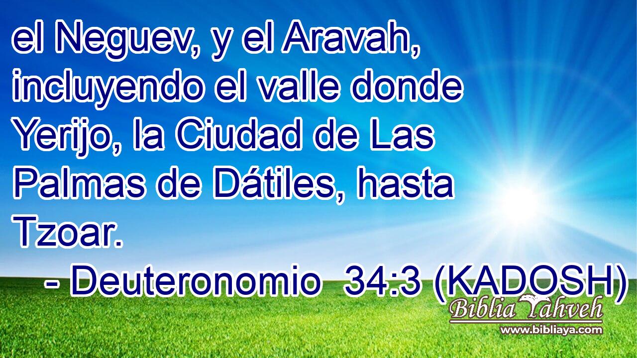  el Neguev, y el Aravah, incluyendo el valle donde Yerijo, la Ciudad de Las Palmas de Dátiles, hasta Tzoar. 