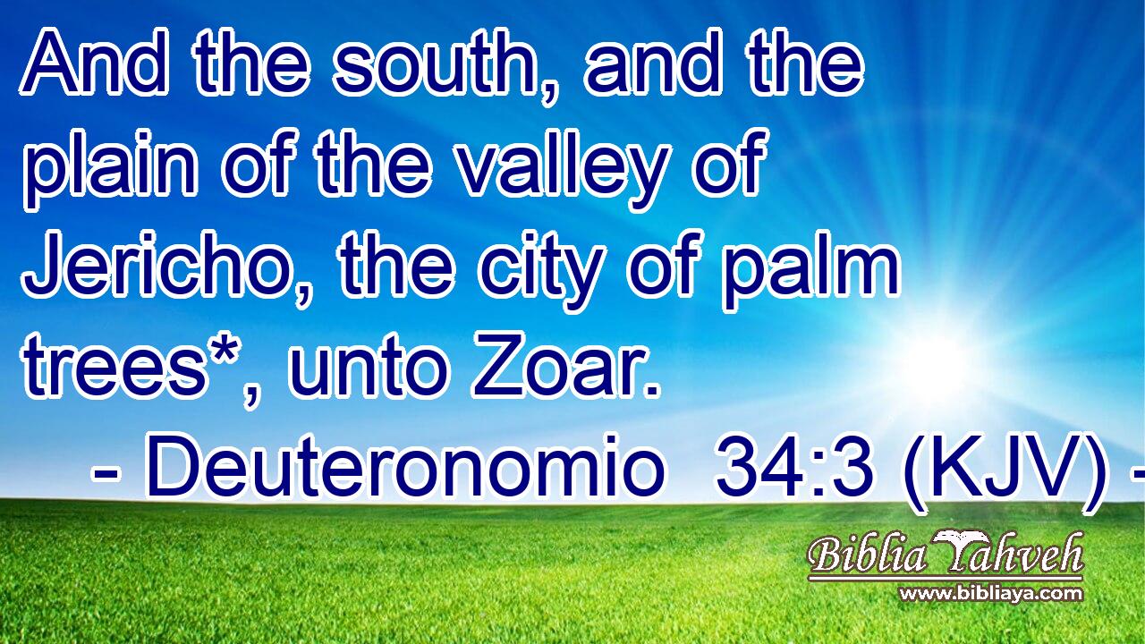 And the south, and the plain of the valley of Jericho, the city of palm trees*, unto Zoar.