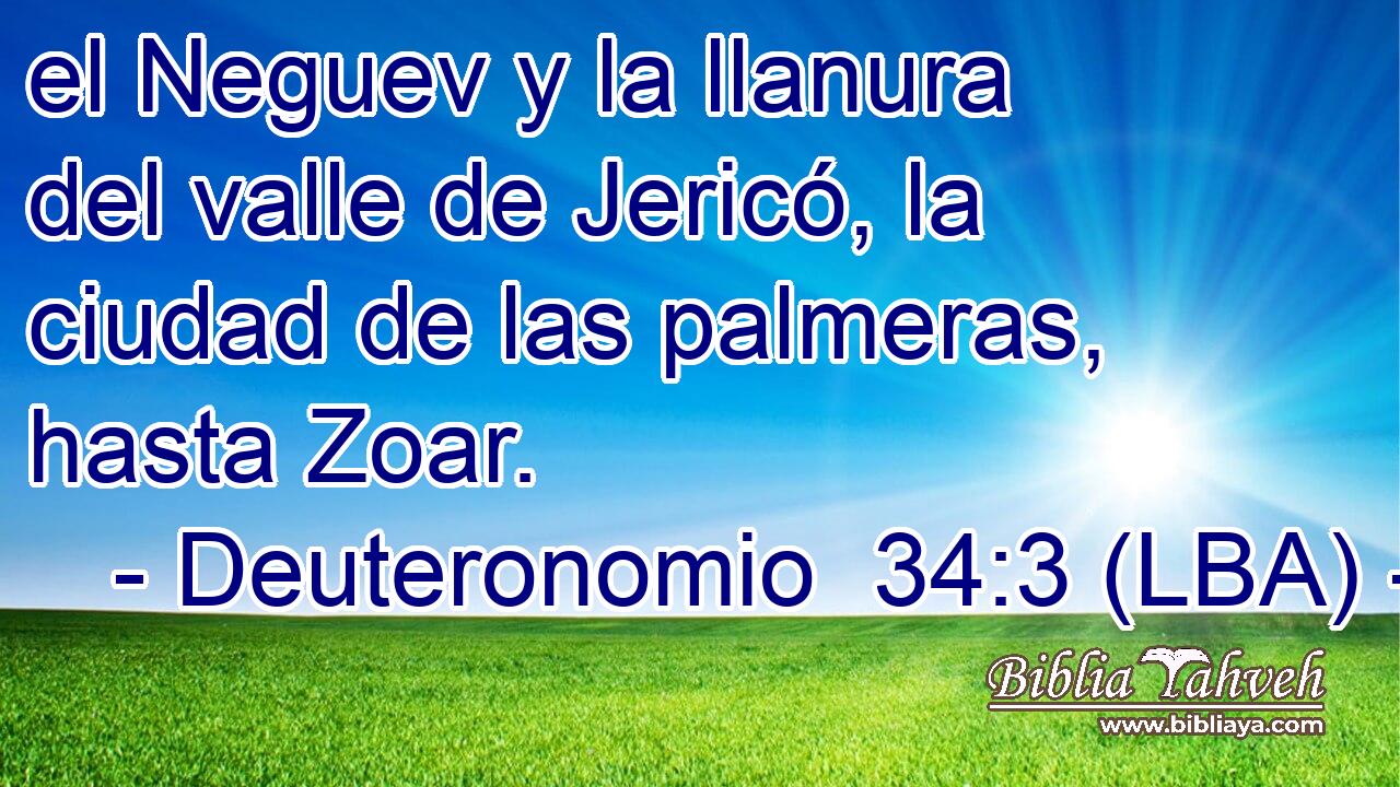 el Neguev y la llanura del valle de Jericó, la ciudad de las palmeras, hasta Zoar.