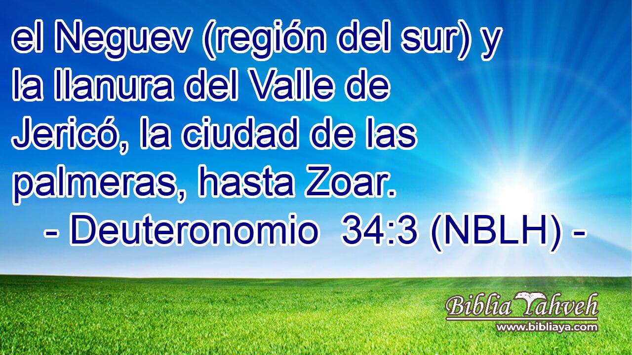  el Neguev (región del sur) y la llanura del Valle de Jericó, la ciudad de las palmeras, hasta Zoar. 