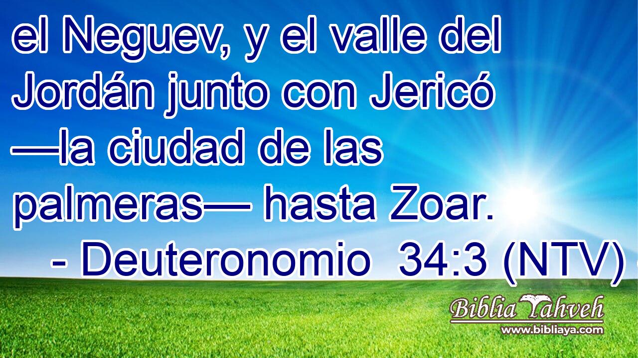 el Neguev, y el valle del Jordán junto con Jericó —la ciudad de las palmeras— hasta Zoar.