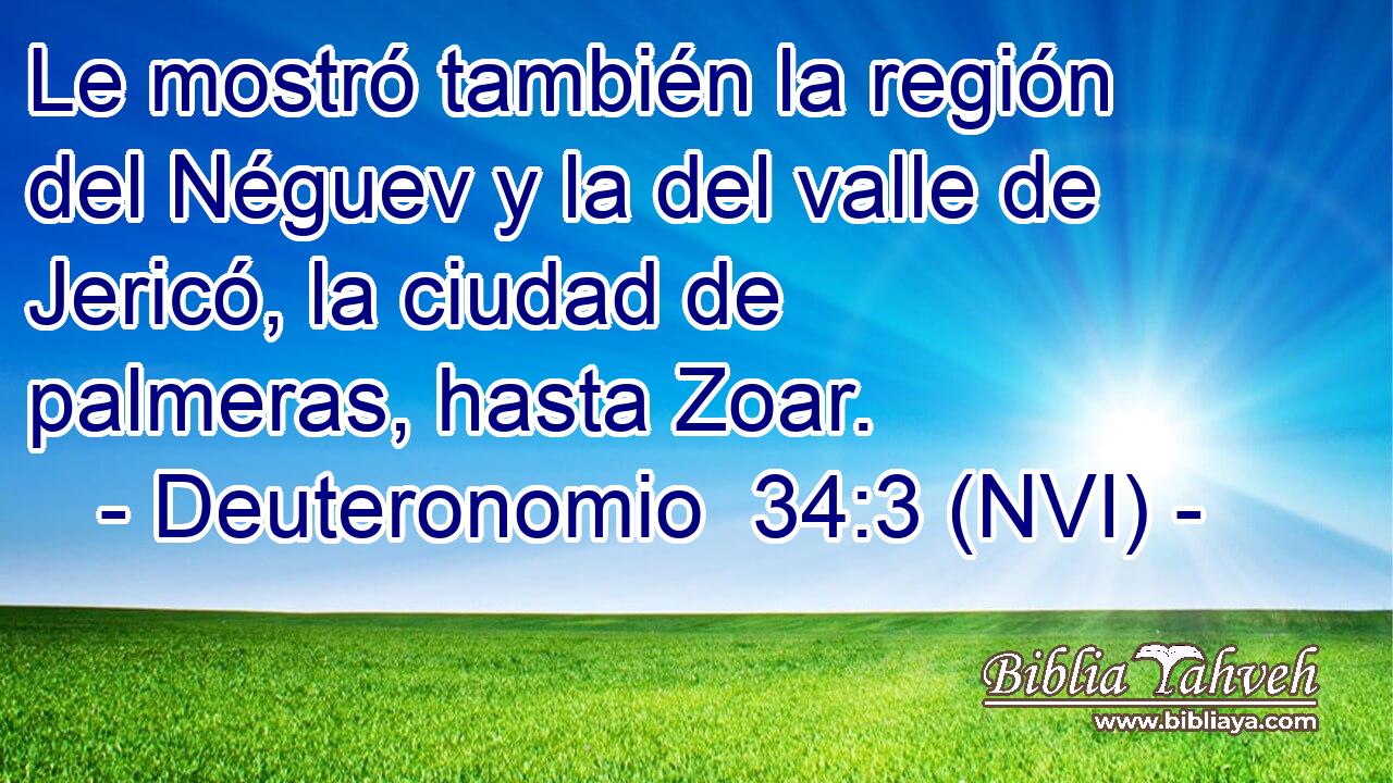  Le mostró también la región del Néguev y la del valle de Jericó, la ciudad de palmeras, hasta Zoar. 