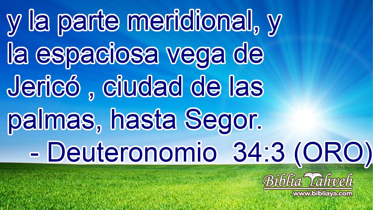  y la parte meridional, y la espaciosa vega de Jericó , ciudad de las palmas, hasta Segor. 