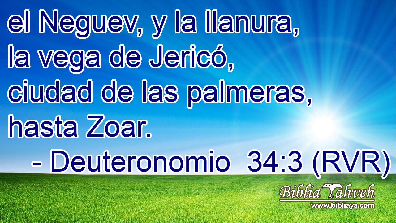 el Neguev, y la llanura, la vega de Jericó, ciudad de las palmeras, hasta Zoar.