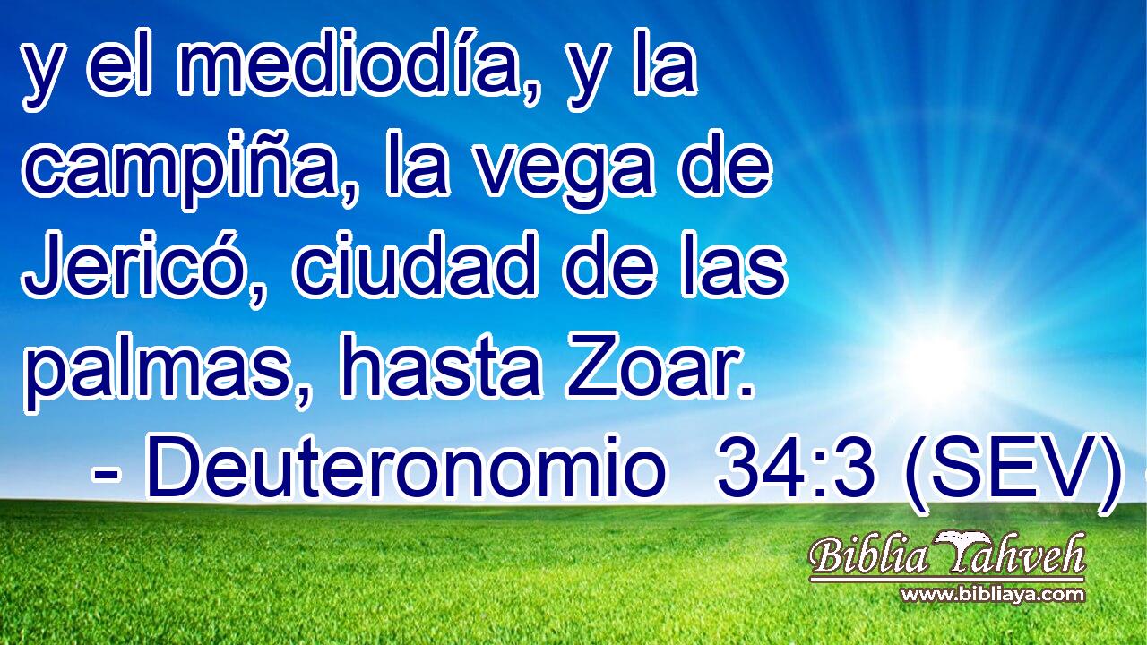 y el mediodía, y la campiña, la vega de Jericó, ciudad de las palmas, hasta Zoar.