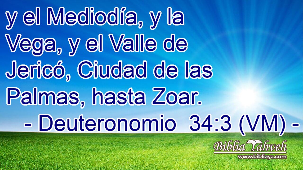  y el Mediodía, y la Vega, y el Valle de Jericó, Ciudad de las Palmas, hasta Zoar. 