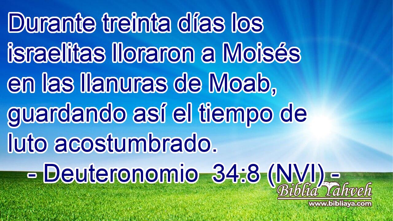  Durante treinta días los israelitas lloraron a Moisés en las llanuras de Moab, guardando así el tiempo de luto acostumbrado. 