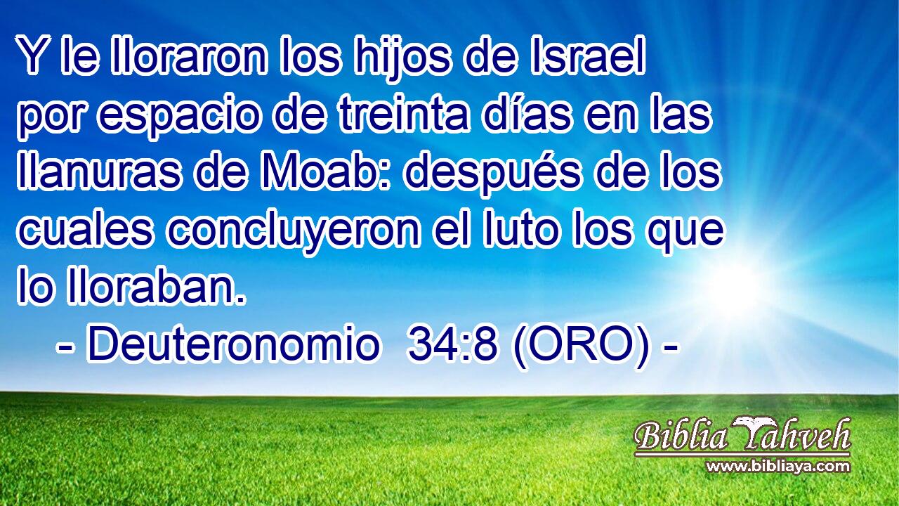  Y le lloraron los hijos de Israel por espacio de treinta días en las llanuras de Moab: después de los cuales concluyeron el luto los que lo lloraban. 
