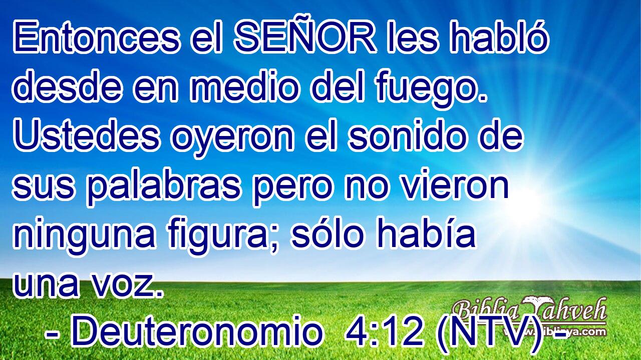 Entonces el SEÑOR les habló desde en medio del fuego. Ustedes oyeron el sonido de sus palabras pero no vieron ninguna figura; sólo había una voz.