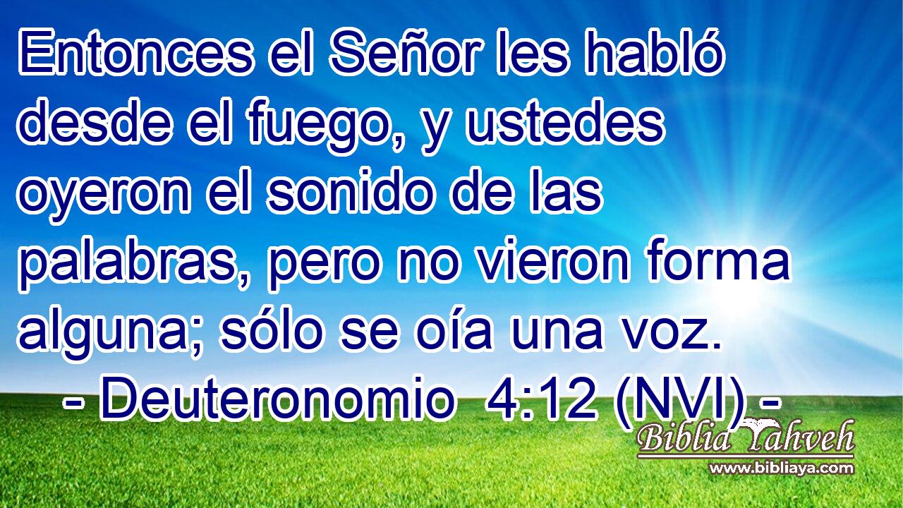  Entonces el Señor les habló desde el fuego, y ustedes oyeron el sonido de las palabras, pero no vieron forma alguna; sólo se oía una voz. 
