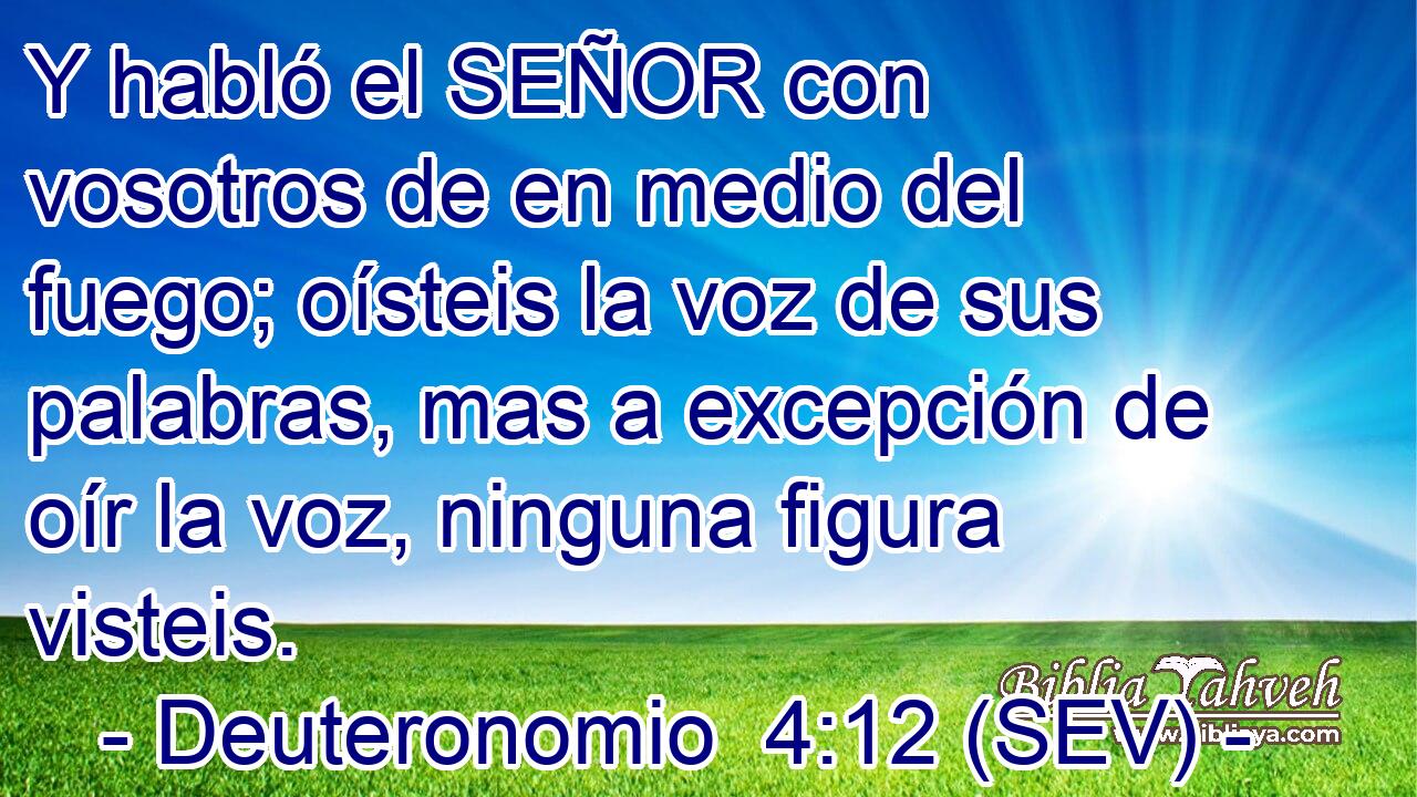 Y habló el SEÑOR con vosotros de en medio del fuego; oísteis la voz de sus palabras, mas a excepción de oír la voz, ninguna figura visteis.