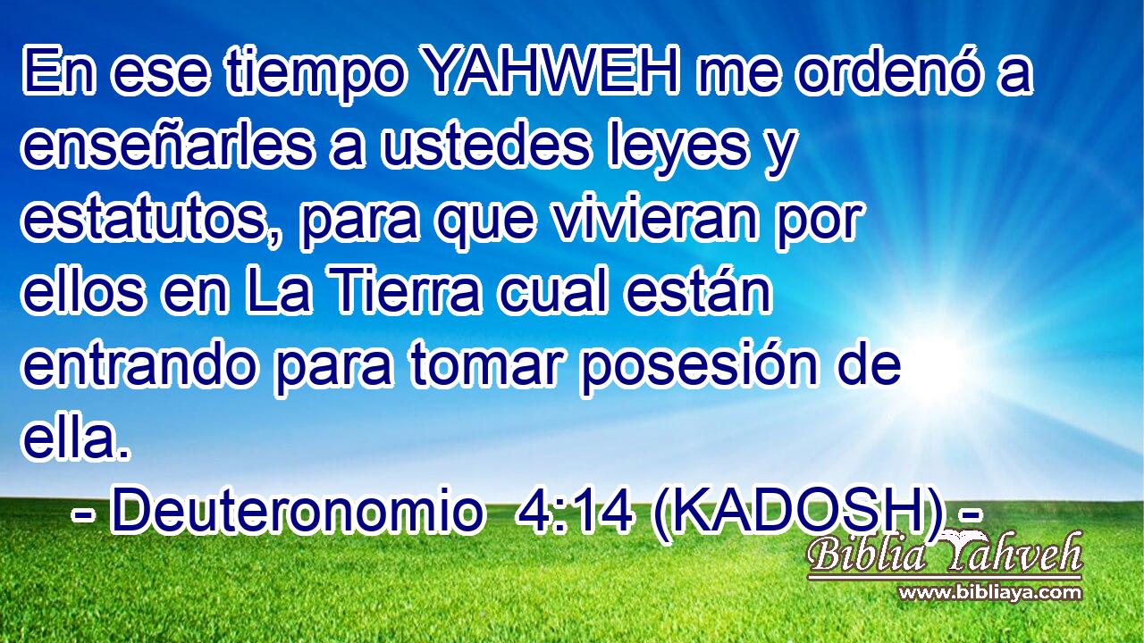  En ese tiempo YAHWEH me ordenó a enseñarles a ustedes leyes y estatutos, para que vivieran por ellos en La Tierra cual están entrando para tomar posesión de ella. 