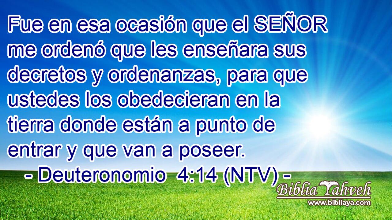 Fue en esa ocasión que el SEÑOR me ordenó que les enseñara sus decretos y ordenanzas, para que ustedes los obedecieran en la tierra donde están a punto de entrar y que van a poseer.