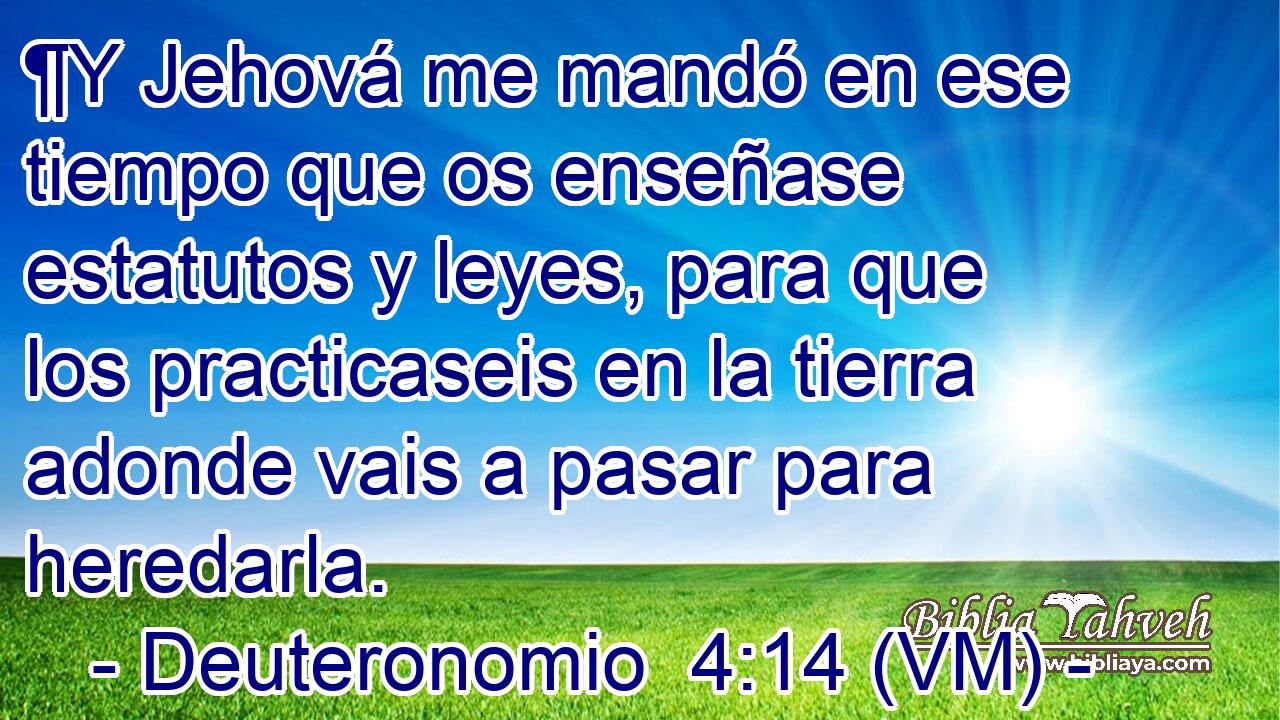  ¶Y Jehová me mandó en ese tiempo que os enseñase estatutos y leyes, para que los practicaseis en la tierra adonde vais a pasar para heredarla. 