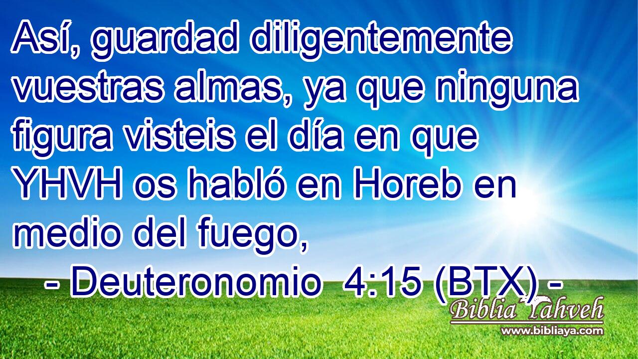 Así, guardad diligentemente vuestras almas, ya que ninguna figura visteis el día en que YHVH os habló en Horeb en medio del fuego,