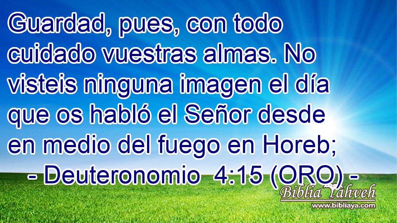  Guardad, pues, con todo cuidado vuestras almas. No visteis ninguna imagen el día que os habló el Señor desde en medio del fuego en Horeb; 