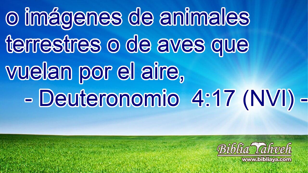  o imágenes de animales terrestres o de aves que vuelan por el aire, 
