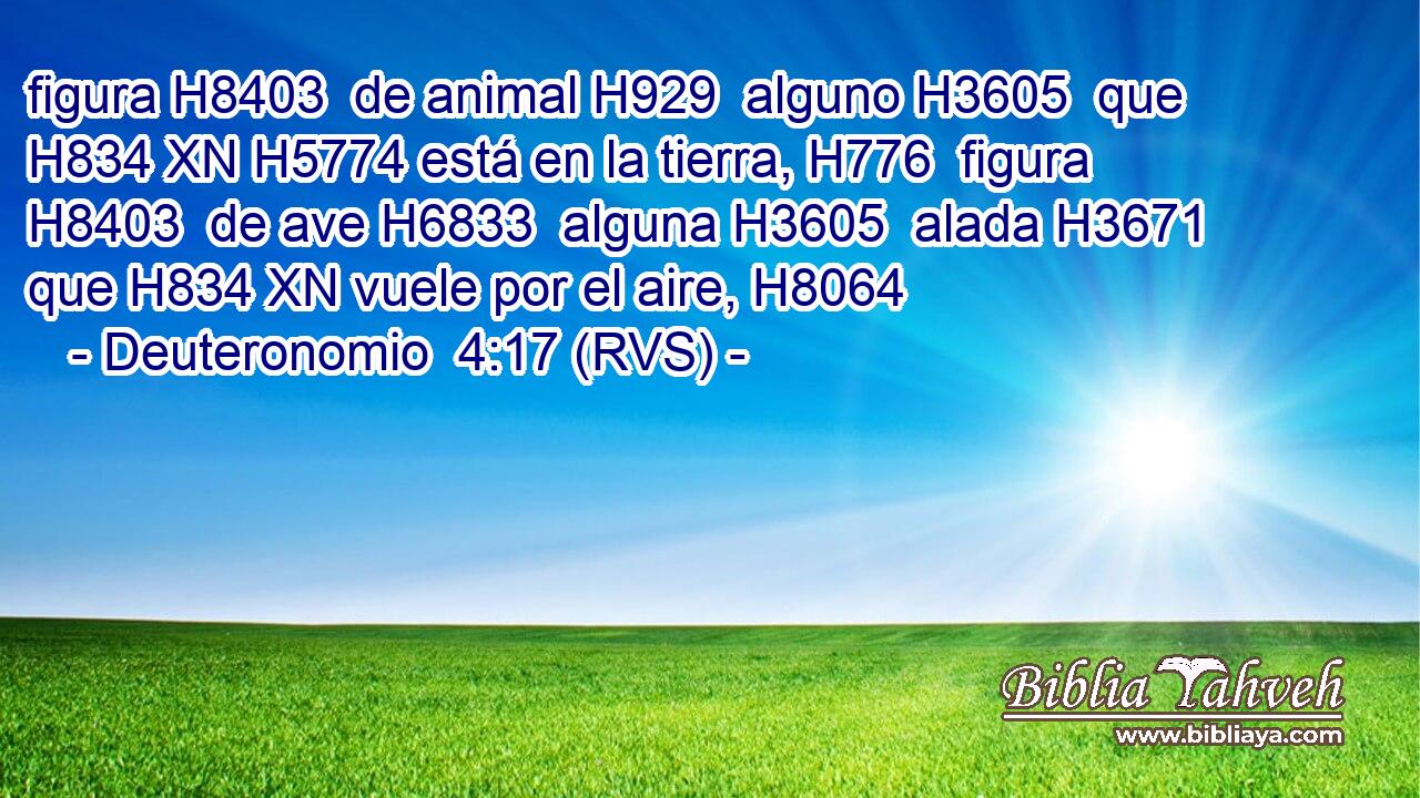 figura H8403  de animal H929  alguno H3605  que H834 XN H5774 está en la tierra, H776  figura H8403  de ave H6833  alguna H3605  alada H3671  que H834 XN vuele por el aire, H8064  