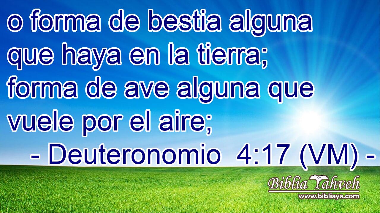  o forma de bestia alguna que haya en la tierra; forma de ave alguna que vuele por el aire; 
