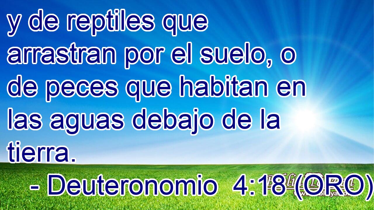  y de reptiles que arrastran por el suelo, o de peces que habitan en las aguas debajo de la tierra. 