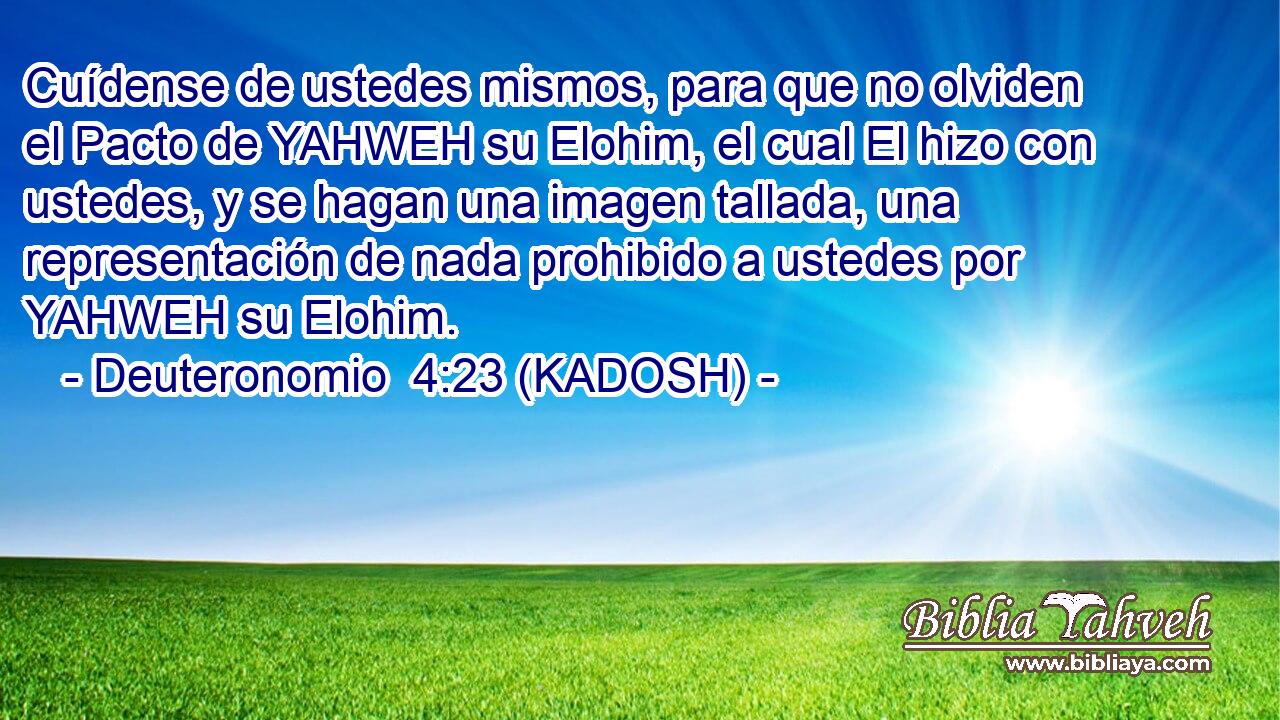  Cuídense de ustedes mismos, para que no olviden el Pacto de YAHWEH su Elohim, el cual El hizo con ustedes, y se hagan una imagen tallada, una representación de nada prohibido a ustedes por YAHWEH su Elohim. 