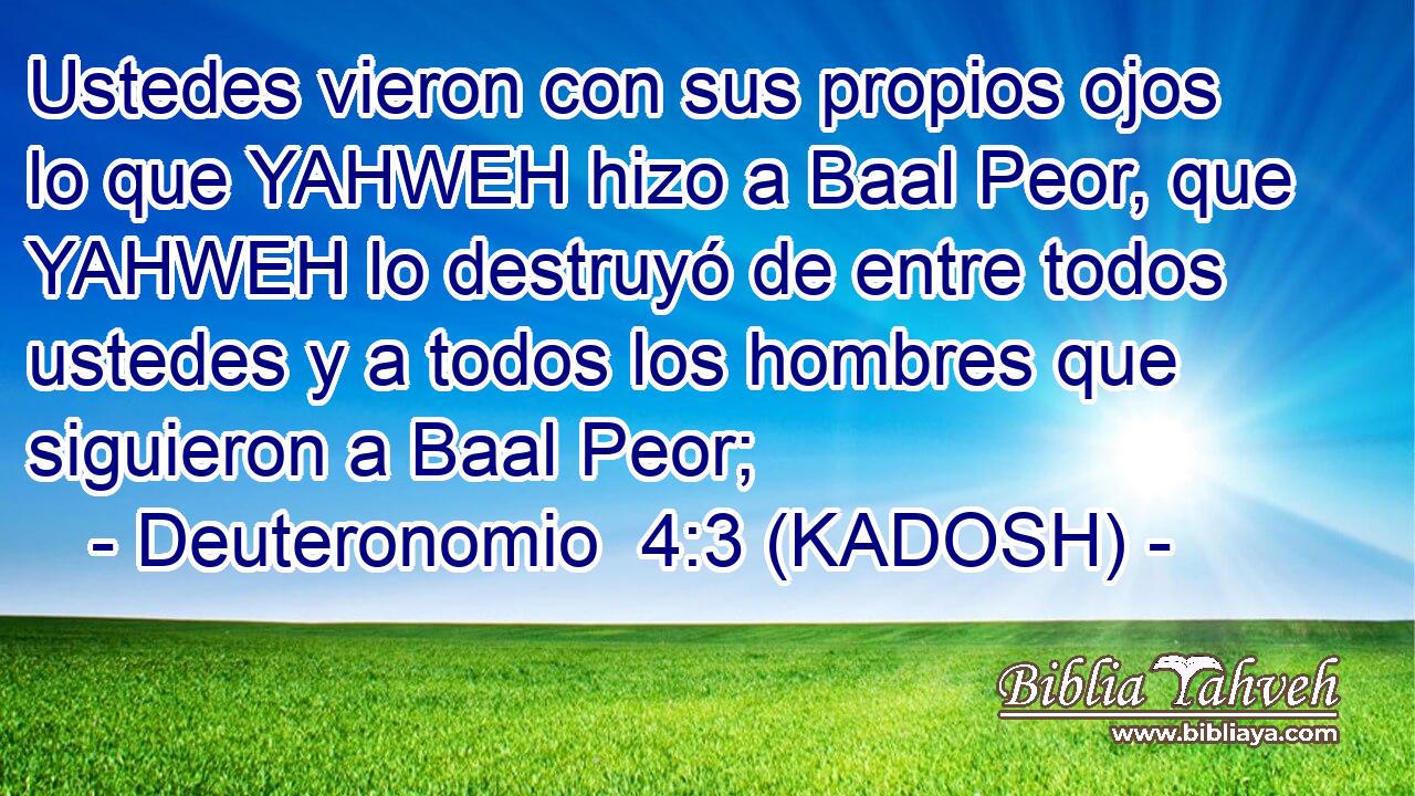 Ustedes vieron con sus propios ojos lo que YAHWEH hizo a Baal Peor, que YAHWEH lo destruyó de entre todos ustedes y a todos los hombres que siguieron a Baal Peor; 