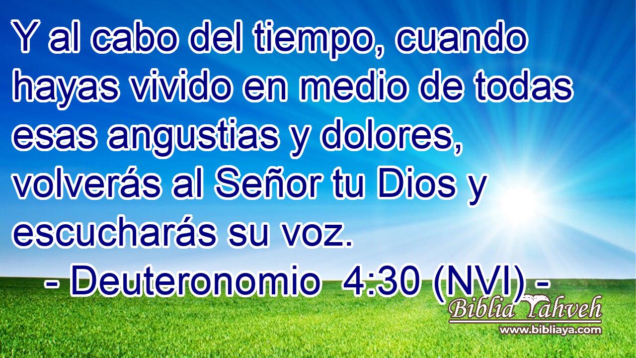  Y al cabo del tiempo, cuando hayas vivido en medio de todas esas angustias y dolores, volverás al Señor tu Dios y escucharás su voz. 