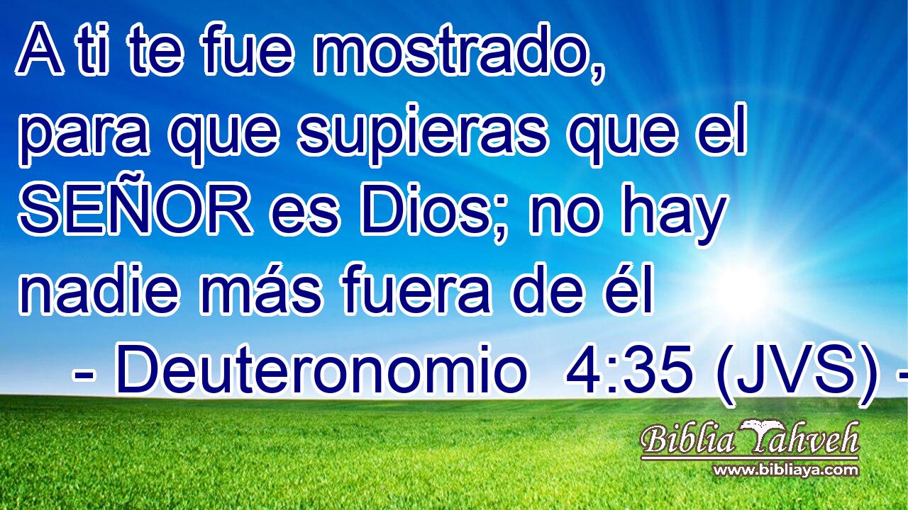 A ti te fue mostrado, para que supieras que el SEÑOR es Dios; no hay nadie más fuera de él