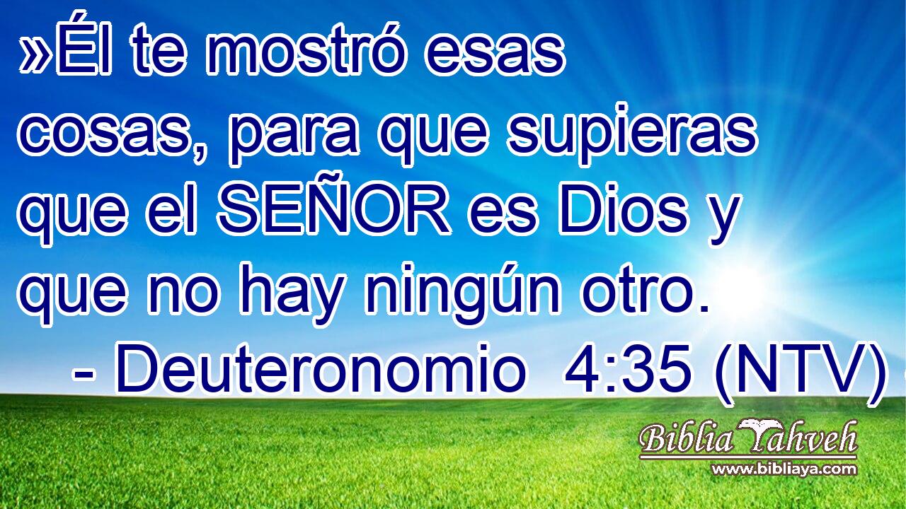 »Él te mostró esas cosas, para que supieras que el SEÑOR es Dios y que no hay ningún otro.
