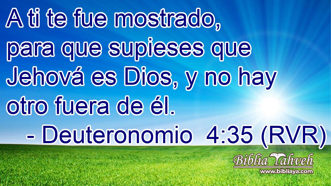 A ti te fue mostrado, para que supieses que Jehová es Dios, y no hay otro fuera de él.